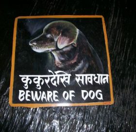 शिकारी कुकुरको मोल दुई लाख, सिमकोटमा कुकुर आतङ्क