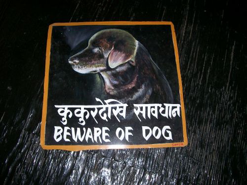 शिकारी कुकुरको मोल दुई लाख, सिमकोटमा कुकुर आतङ्क