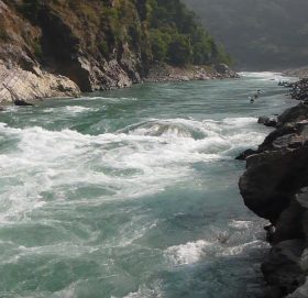 कर्नालीको माछाबाट ६ करोड