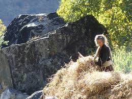 हराउँदै छन् कोशेढुङ्गाहरु