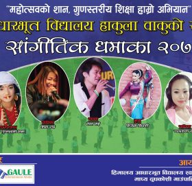 हिमालय आ.वि.को स्वर्ण महोत्सबमा राष्ट्रिय कलाकारद्धारा सांगीतिक धमाका हुने