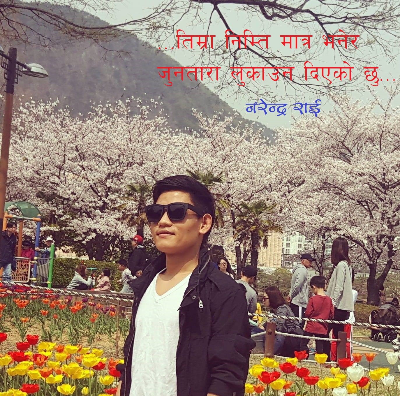 कविता- राम्रीसफूल