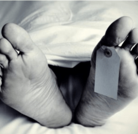 सोलुखुम्बुमा रुखले किचेर एक किशोरिको ज्यान गयो