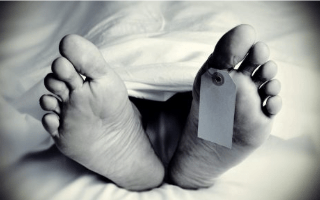 सोलुखुम्बुमा रुखले किचेर एक किशोरिको ज्यान गयो