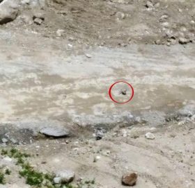 सोलुखोलामा राखिएको शंकास्पद वस्तु बम नभएको पुष्टि