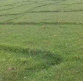 २५०० बिघा गज्जा अझै ‘माओवादी’ कब्जामै