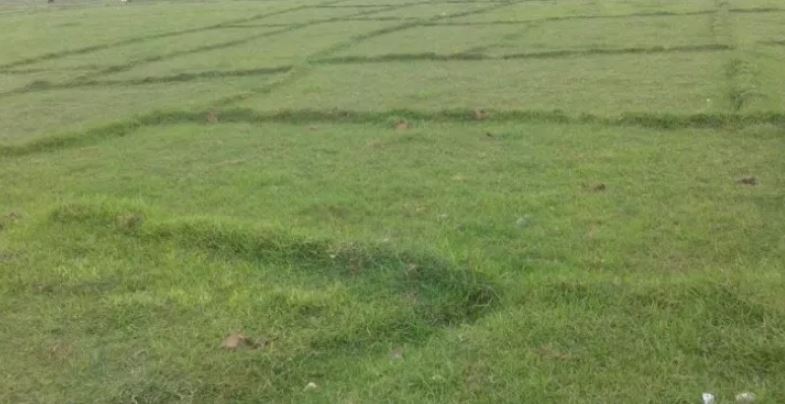 २५०० बिघा गज्जा अझै ‘माओवादी’ कब्जामै