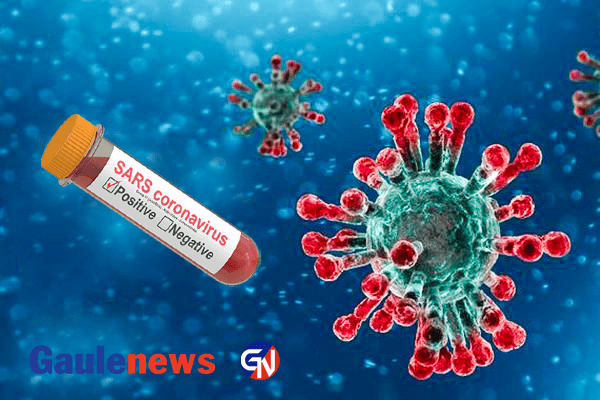 प्रदेश नं १ मा ४१० सक्रिय कोरोना सङ्क्रमित