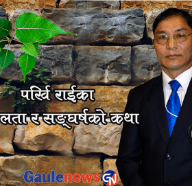 ‘एक अनमोल हिरा’ पर्खि  राई