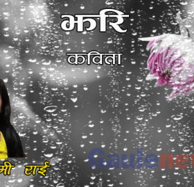 कविता – झरि