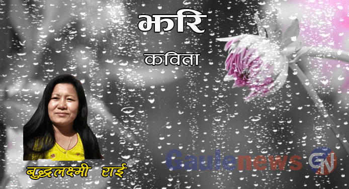 कविता – झरि