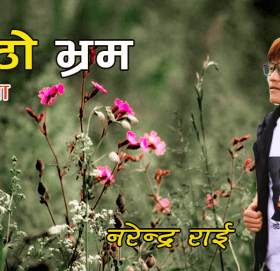 कविता – मिठो भ्रम