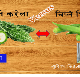 लघुकथाः तिते करेला र चिप्ले भिन्डी