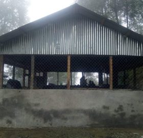 माप्य दुधकोशीले अत्यधुनिक वथशाला सञ्चालनमा ल्यायो