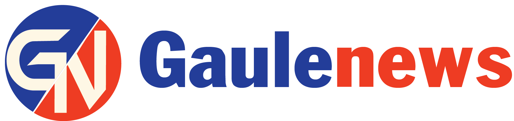 भागरथी हत्या प्रकरण : आरोपितलाई सुधारगृह पठाउन आदेश