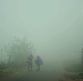 चिसोका कारण तराईको जनजीवन कष्टकर