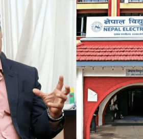 विद्युत प्राधिकरणको कार्यकारी निर्देशकमा शाक्य नियुत्ति