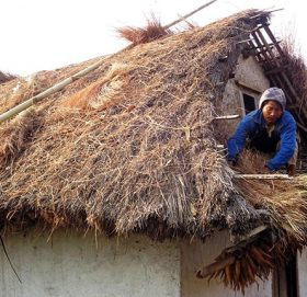 खरको छानोमुक्त जिल्ला बनाउने अभियान प्रारम्भ