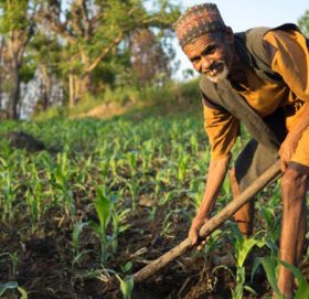 एक सय २५ कृषकलाई एक लाखका दरले पुरस्कार