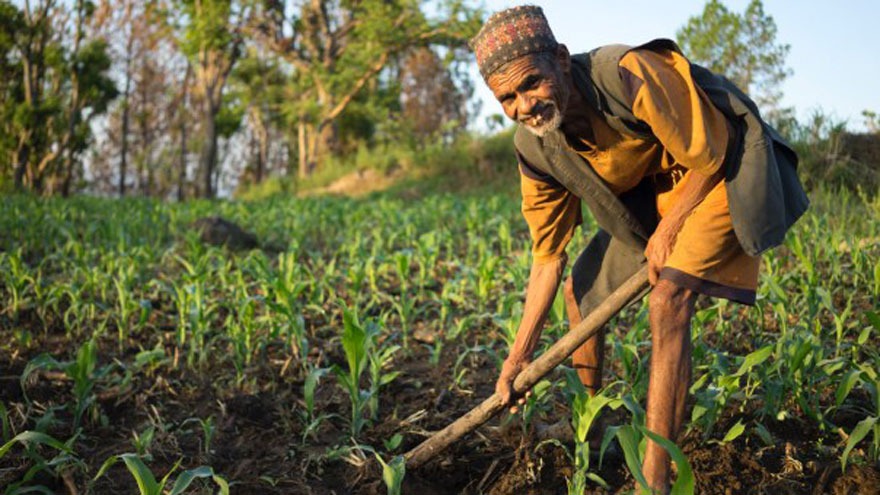 एक सय २५ कृषकलाई एक लाखका दरले पुरस्कार