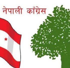 कांग्रेस प्रदेश नं २ को नयाँ नेतृत्व चयनका लागि आज मतदान हुँदै