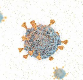 नेपालमा पनि भेटियो ओमिक्रोन भेरियन्ट