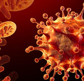 थप २४ जनामा ओमिक्रोन भेरियन्ट संक्रमण पुष्टि