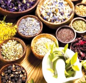 साउनदेखि जडीबुटी बीमा लागू हुने