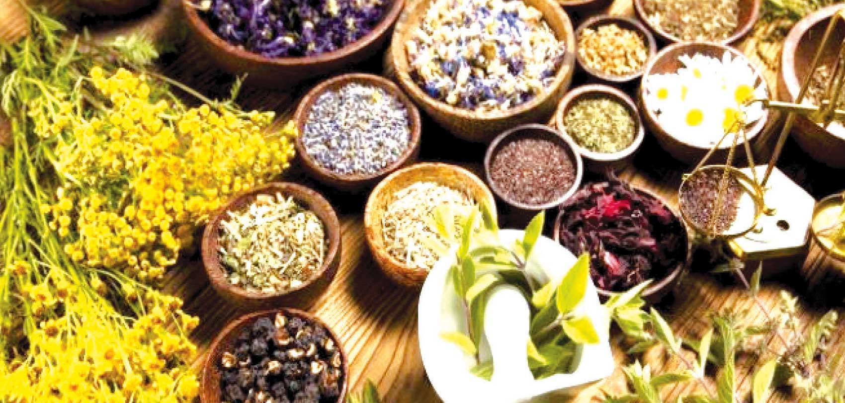 साउनदेखि जडीबुटी बीमा लागू हुने