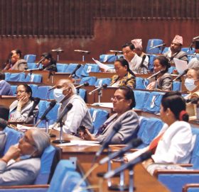 प्रतिनिधिसभा : सहरी क्षेत्र यातायात व्यवस्थापन प्राधिकरण विधेयक पारित